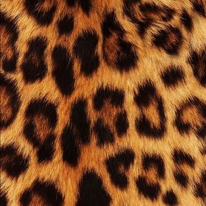 Meet your Posher, Gary